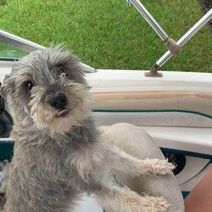 Meet your Posher, Jonny